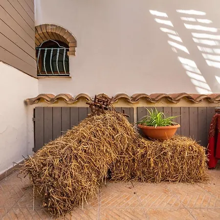 Sa Domu De Dinu Sant'Anna Arresi