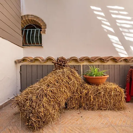 Sa Domu De Dinu Apartament SantʼAnna Arresi
